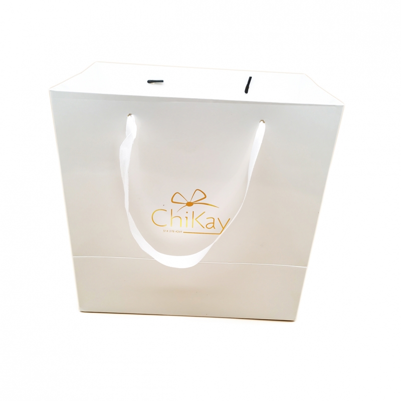 Custom Luxury Coated Paper Bag with Gold Foil Logo