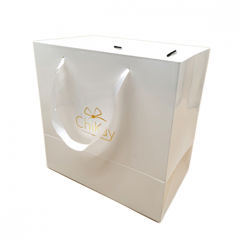 Custom Luxury Coated Paper Bag with Gold Foil Logo